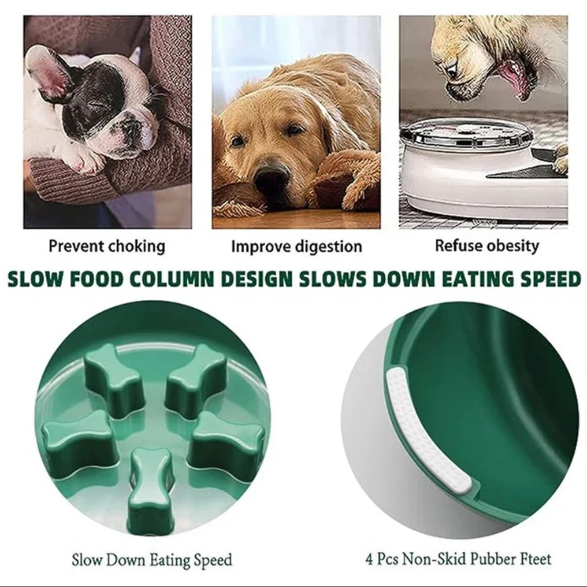 Slow Feeder Pet Bowl