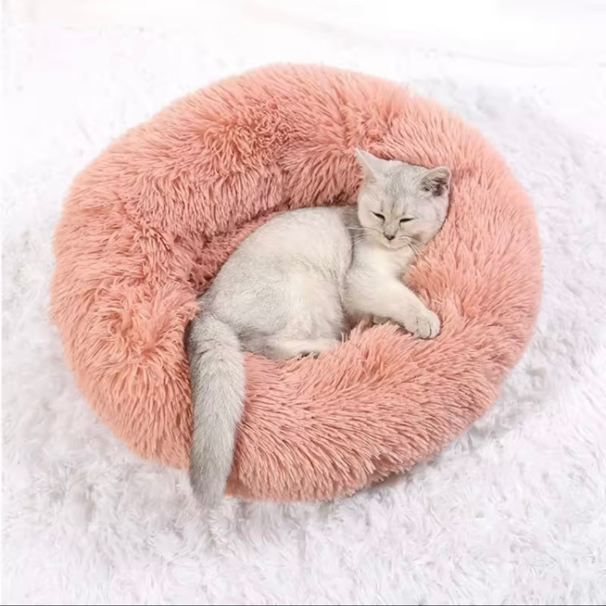 Calming Dog Bed