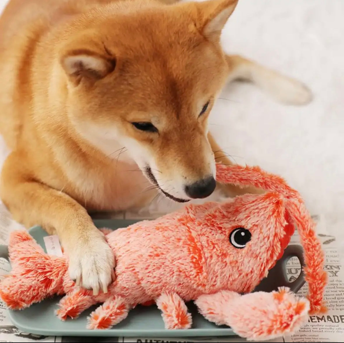 Fluffy Electric Lobster