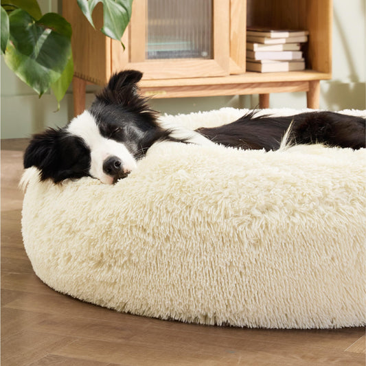 Calming Dog Bed