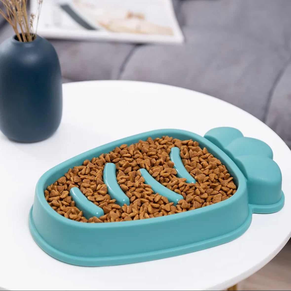 Slow Feeder Pet Bowl