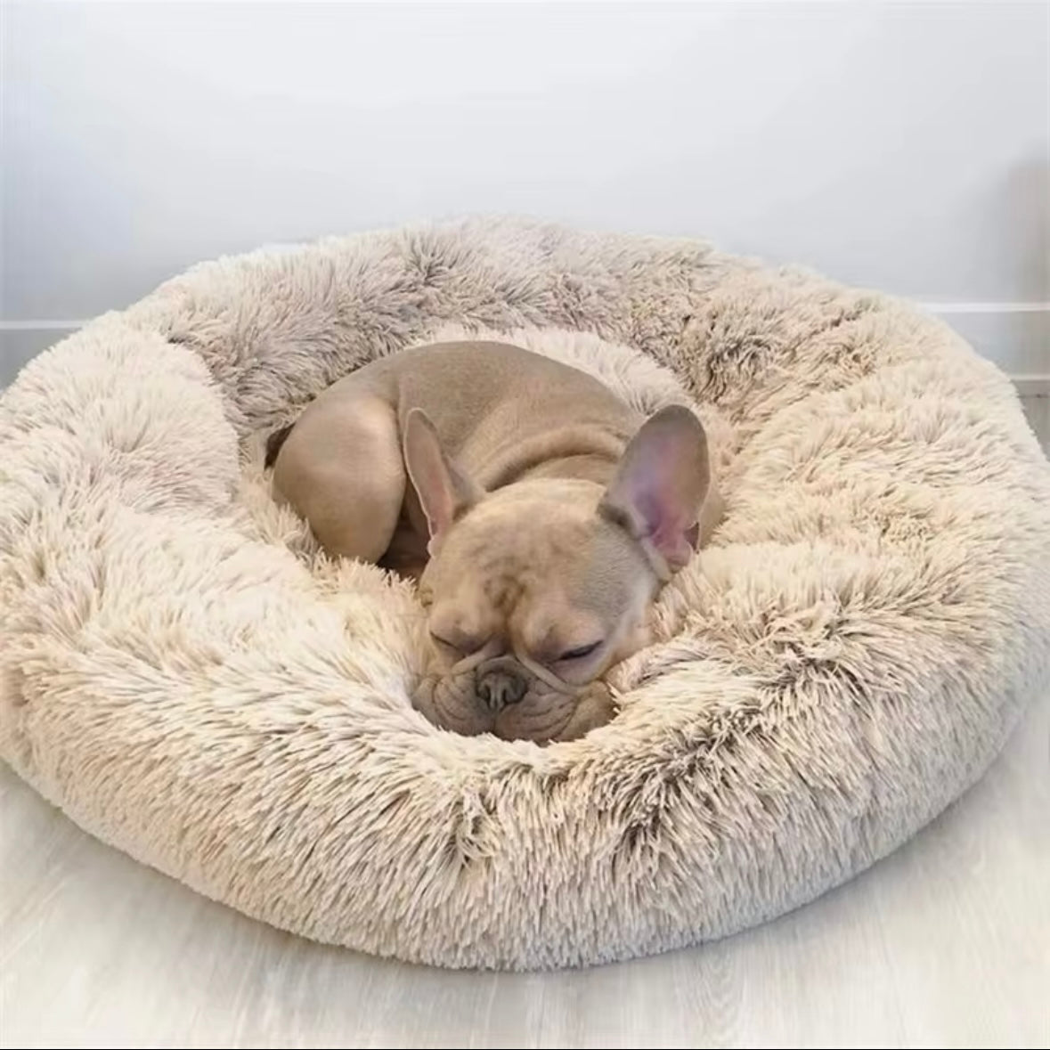 Calming Dog Bed