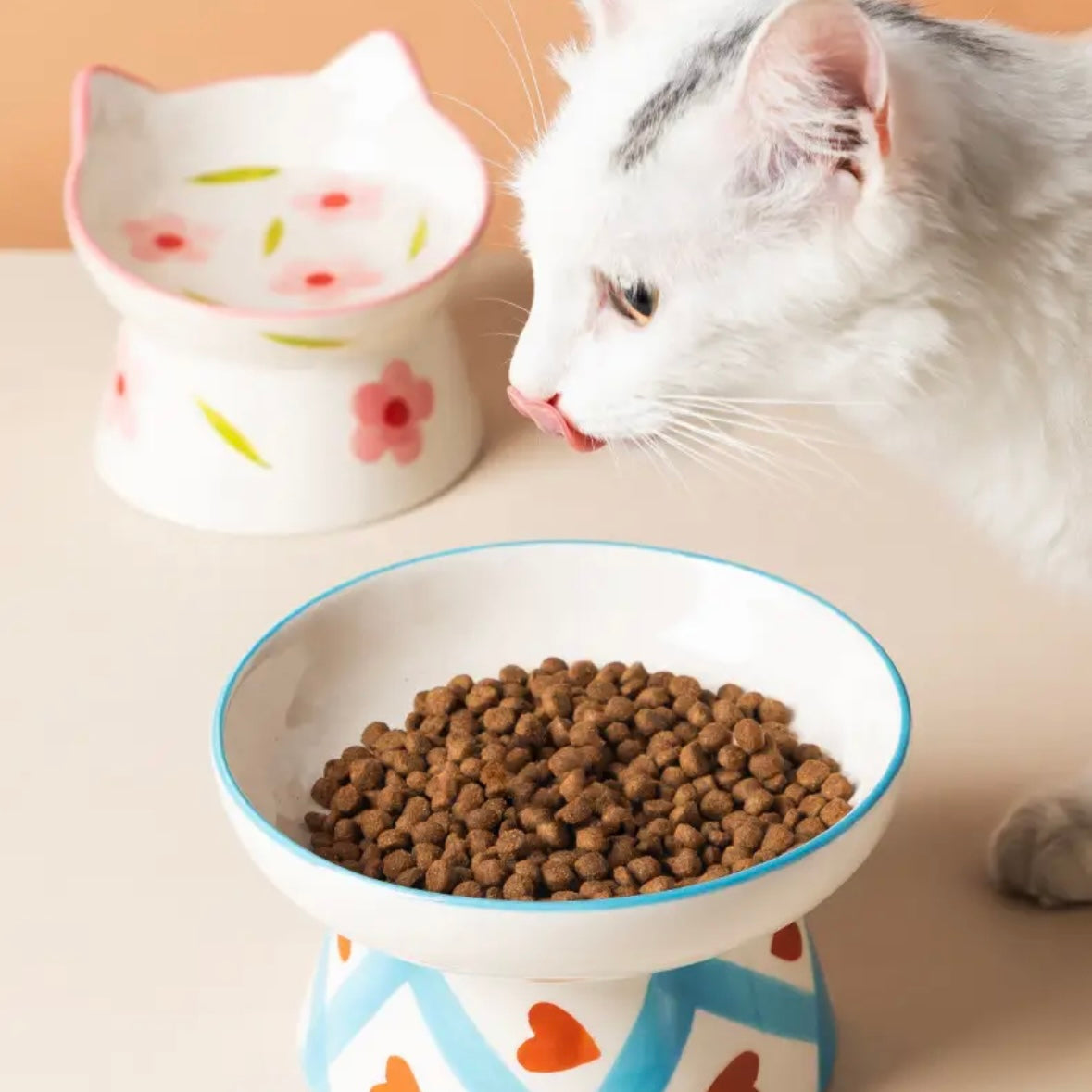 Cat Elevated Ceramic Bowl