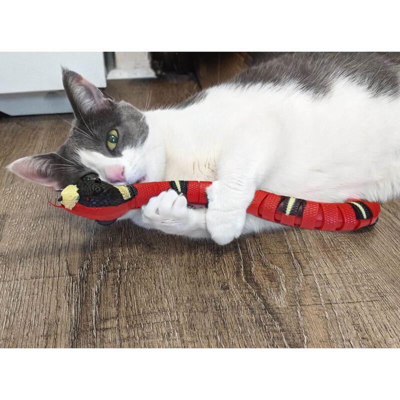 Smart Sensing Snake Toy